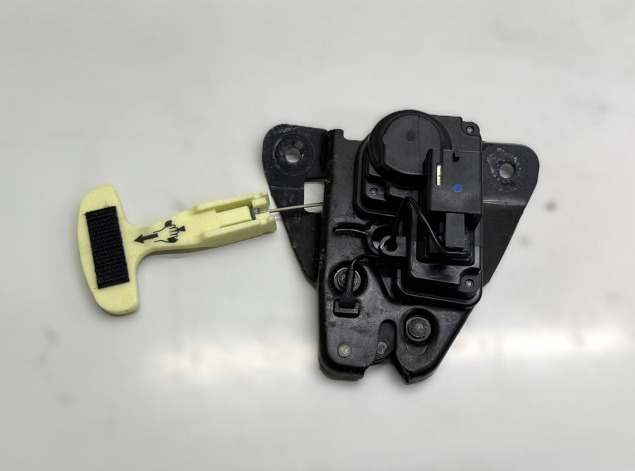 4589217AA Bootlid / tailgate lock CHRYSLER 300C II (2010-2023)