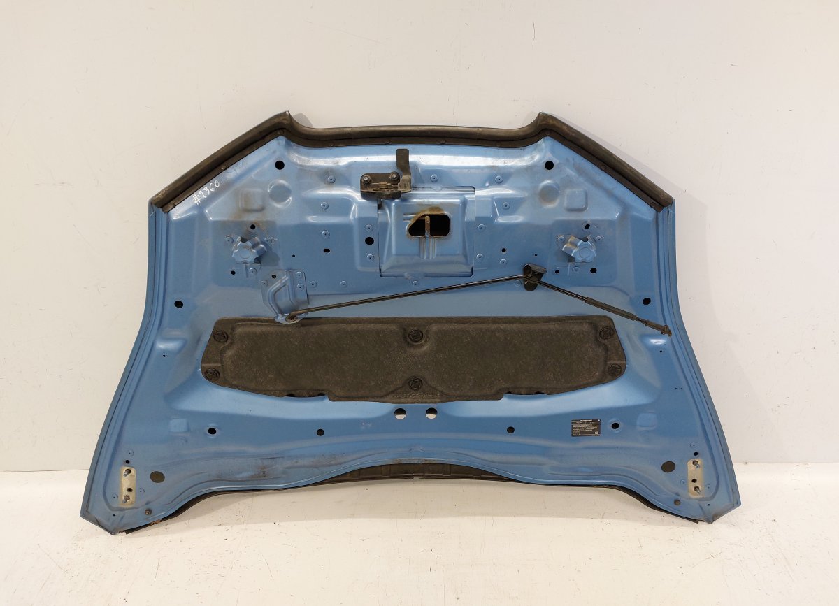 F510M3NAMB Bonnet NISSAN LEAF I (ZE0) (2010-2017)