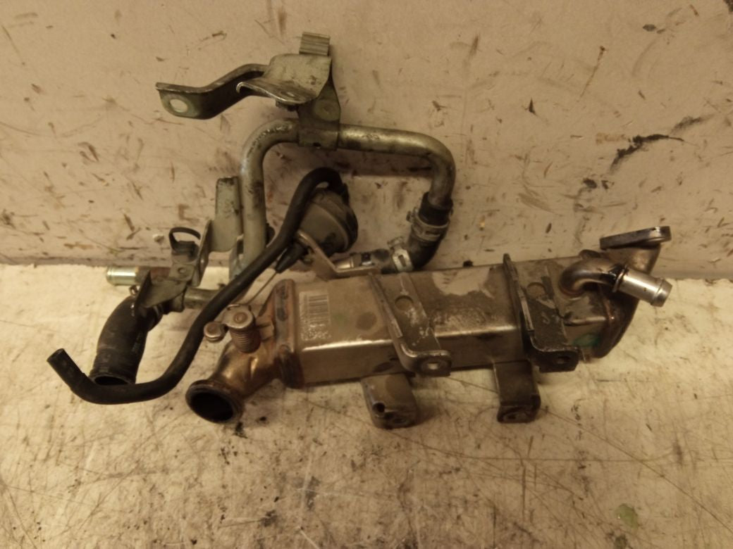 EGR cooler NISSAN QASHQAI I (J10) (2007-2013)