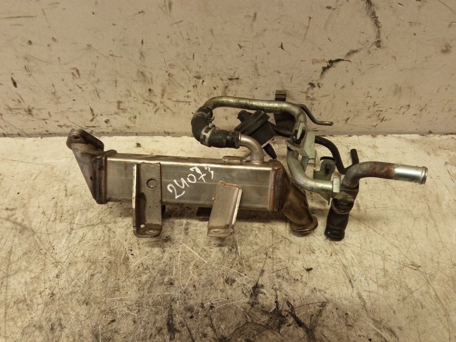 EGR cooler NISSAN QASHQAI I (J10) (2007-2013)