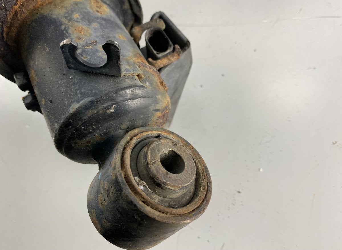 Air shock absorber rear left VW TOUAREG I (7L) (2002-2010)