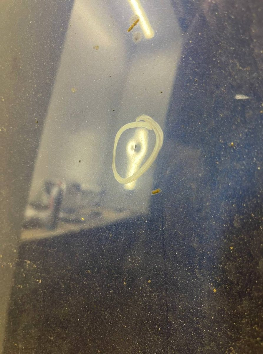 7227768 Bonnet BMW 5 GRAN TURISMO (F07) (2009-2017)