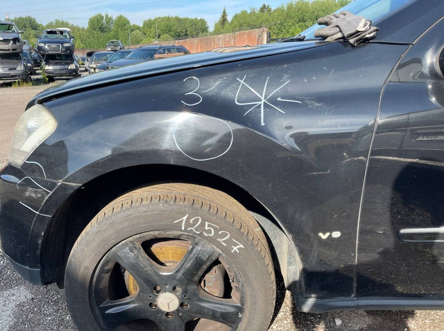1648810101 Fender Front Left MERCEDES-BENZ ML-CLASS (W164) (2005-2011)