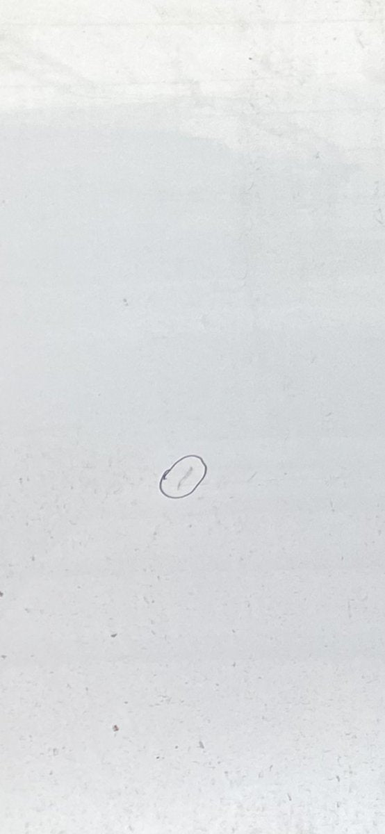 H010A1CAMA Door Front Left INFINITI FX II / QX70 (S51) (2008-2017)