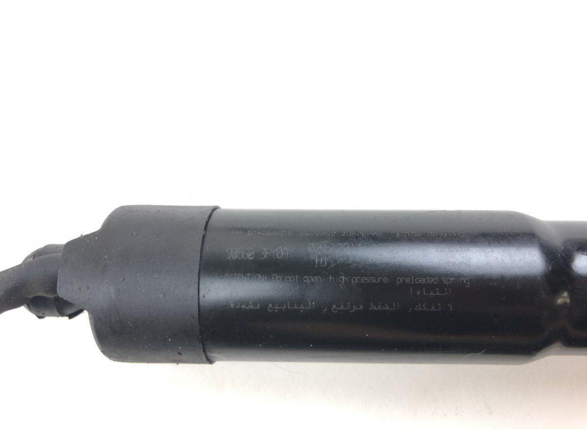 905603FY0A Bootlid / tailgate strut set INFINITI FX II / QX70 (S51) (2008-2017)