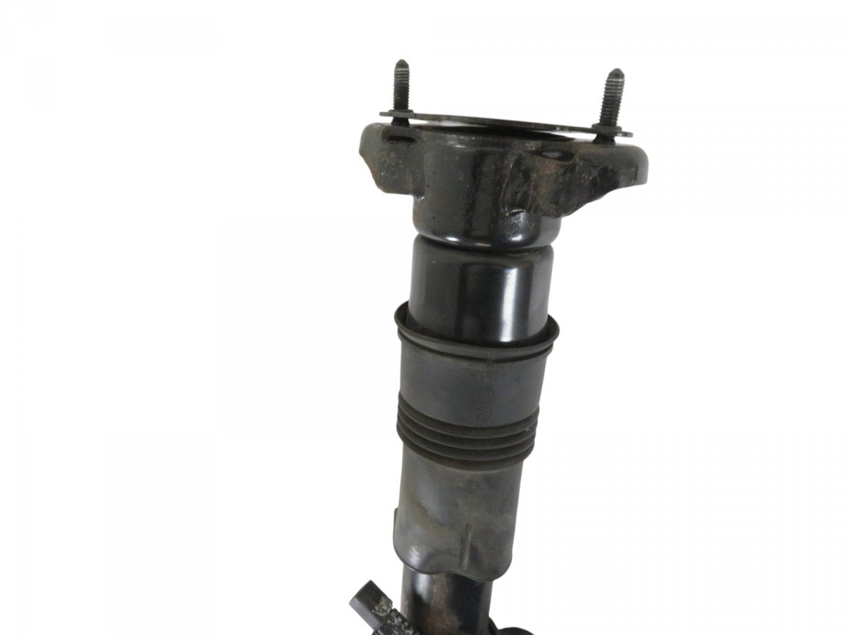 A1645406710 A2513201831 A2513202931 A2513203131 Shock Absorber Rear Left MERCEDES-BENZ R-CLASS (W251) (2006-2013)