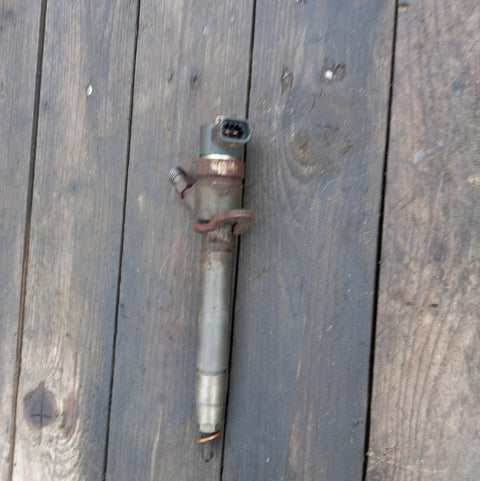 Fuel Injector VOLVO S40 / V50 / C30 / C70 (MS, MW) (2004-2012)