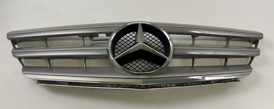 A1698881660 Radiator Grille MERCEDES-BENZ B-CLASS (W245) (2005-2011)