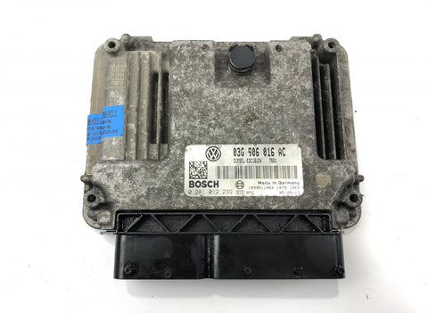 0281012239 Engine Control Unit / module (ECU) VW JETTA III (1K2) (2005-2010)