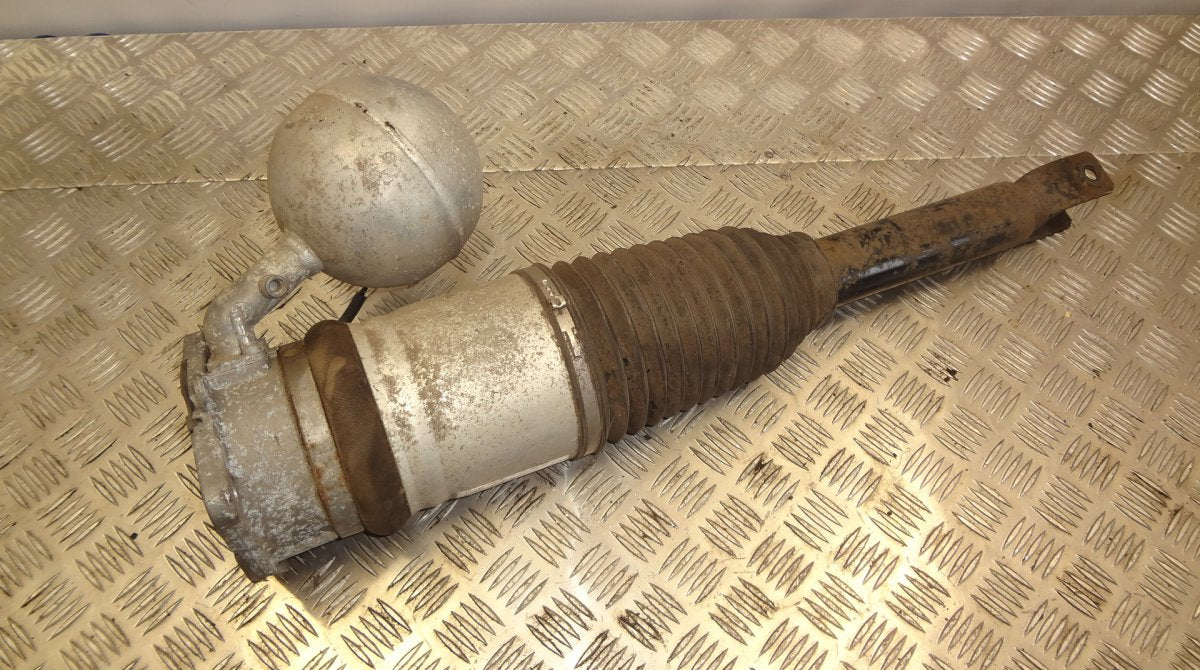 Air shock absorber rear left VW PHAETON (3D) (2002-2016)