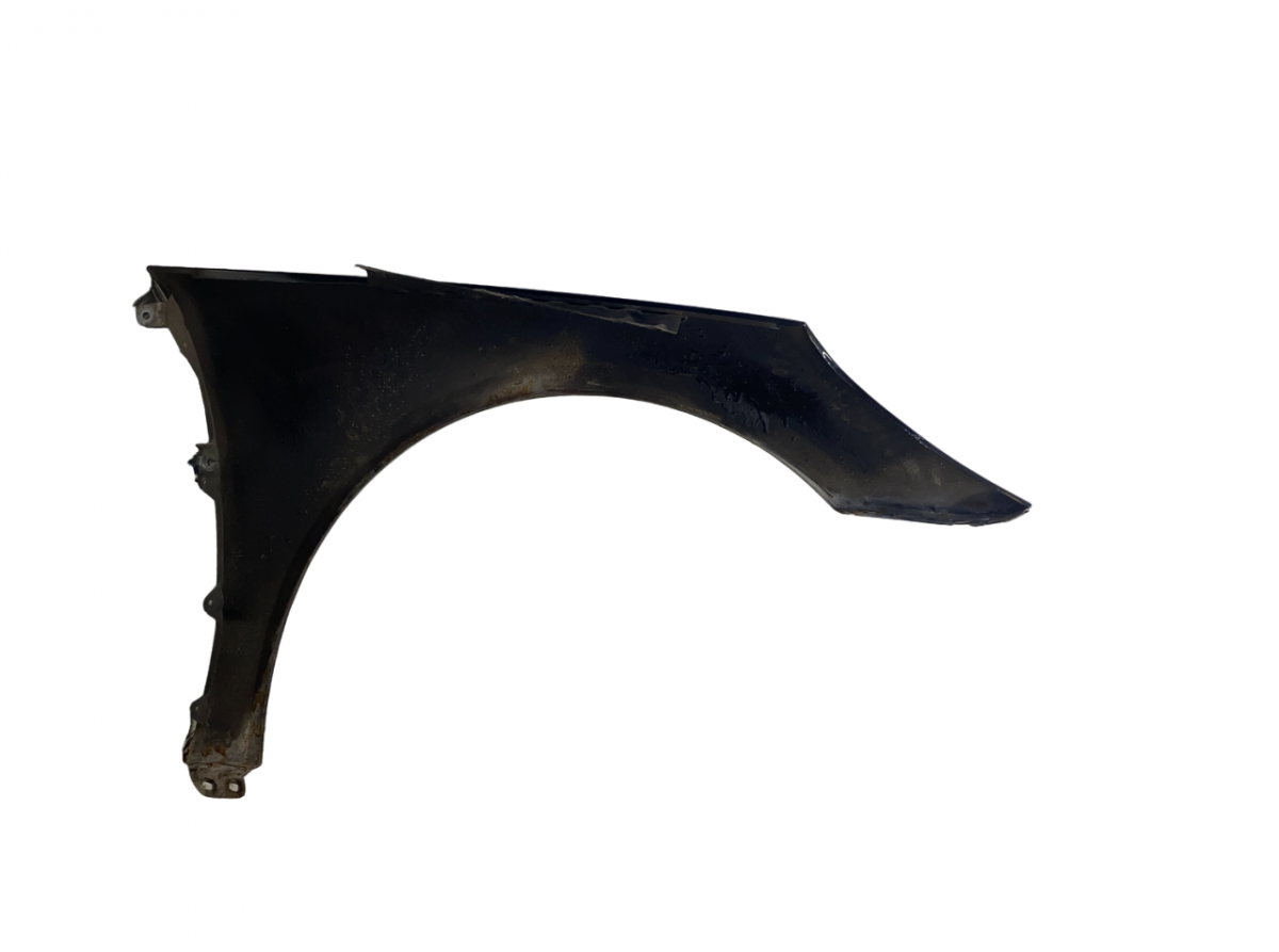 2518800506 Fender Front Left MERCEDES-BENZ R-CLASS (W251) (2006-2013)
