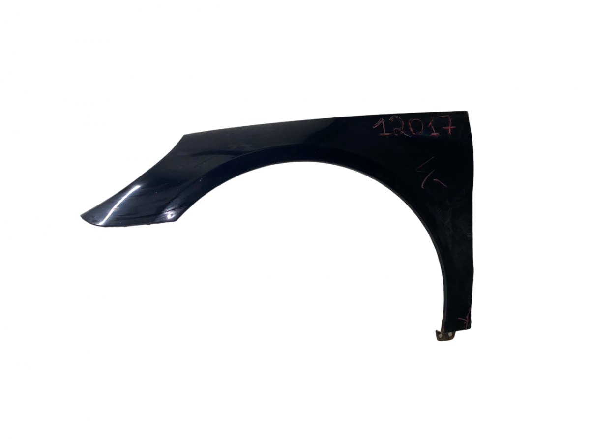 2518800506 Fender Front Left MERCEDES-BENZ R-CLASS (W251) (2006-2013)