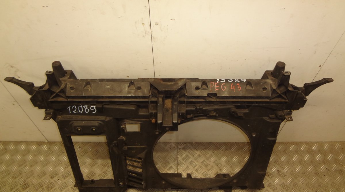 1231559X Front panel PEUGEOT 3008 I (T84) (2009-2016)