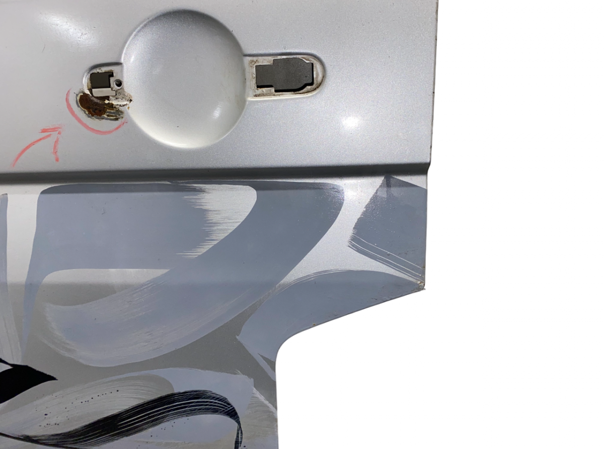 Door Front Left VW TRANSPORTER T5 / MULTIVAN (7H, 7E, 7J) (2003-2015)