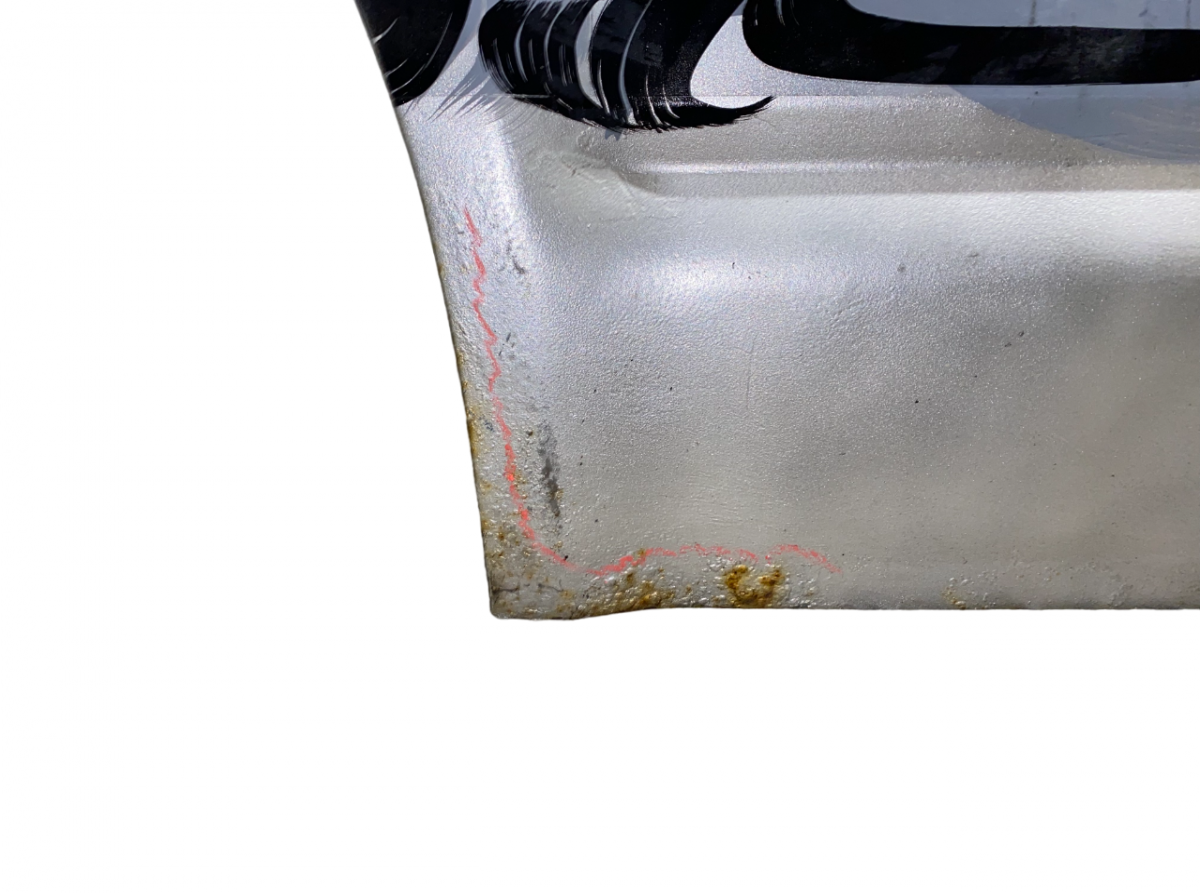 Door Front Left VW TRANSPORTER T5 / MULTIVAN (7H, 7E, 7J) (2003-2015)