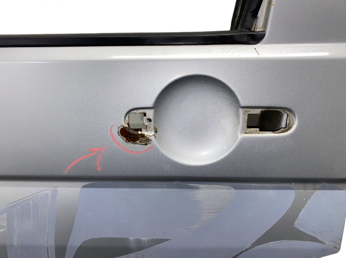 Door Front Left VW TRANSPORTER T5 / MULTIVAN (7H, 7E, 7J) (2003-2015)