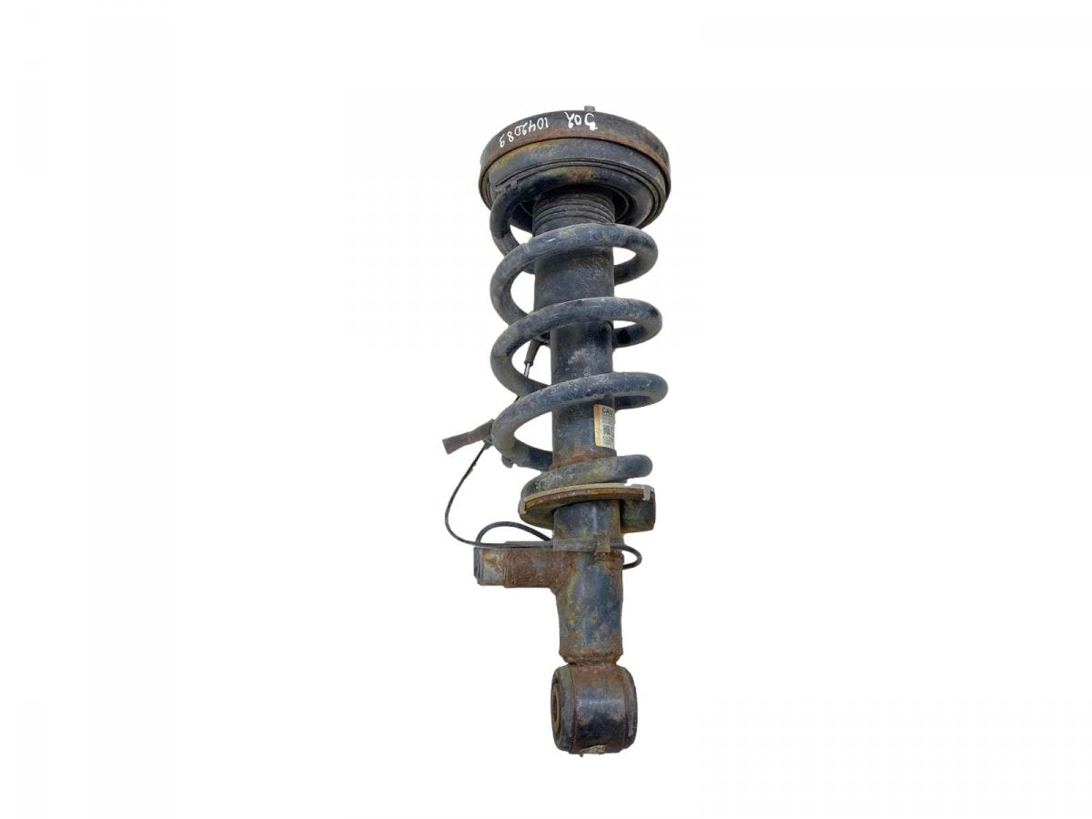 JL1418B063ED Suspension Leg Rear Left FORD EXPEDITION IV (2017-)