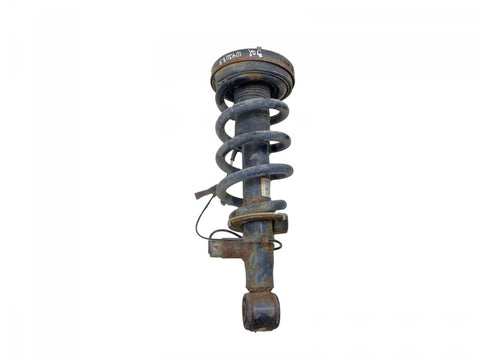 JL1418B063ED Suspension Leg Rear Left FORD EXPEDITION IV (2017-)