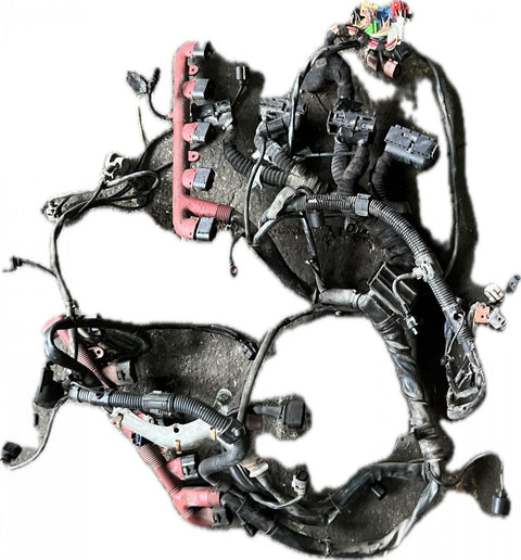 Engine wiring harness AUDI A8 (4E) (2002-2010)
