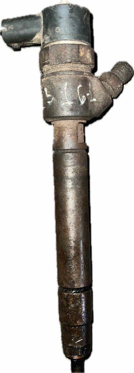 Fuel Injector VOLVO V70 III (BW) (2007-2016)