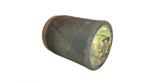 Air shock absorber rear left BMW X5 (E53) (2000-2007)