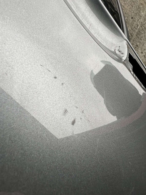 Door Rear Left BMW X1 (E84) (2009-2015)