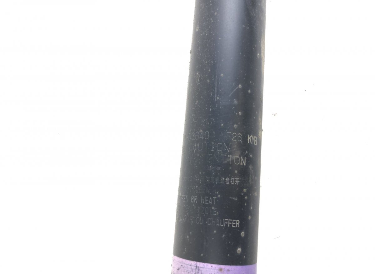 4853080876 Shock Absorber Rear Left LEXUS ES VII (2018-)