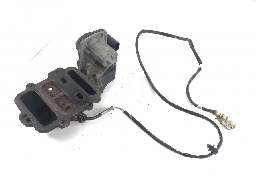 523901020 5.23901.02.0 EGR Valve VW CRAFTER II (SY) (2016-)
