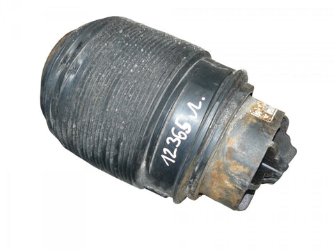 Air shock absorber rear left MERCEDES-BENZ E-CLASS (W212) (2009-2016)