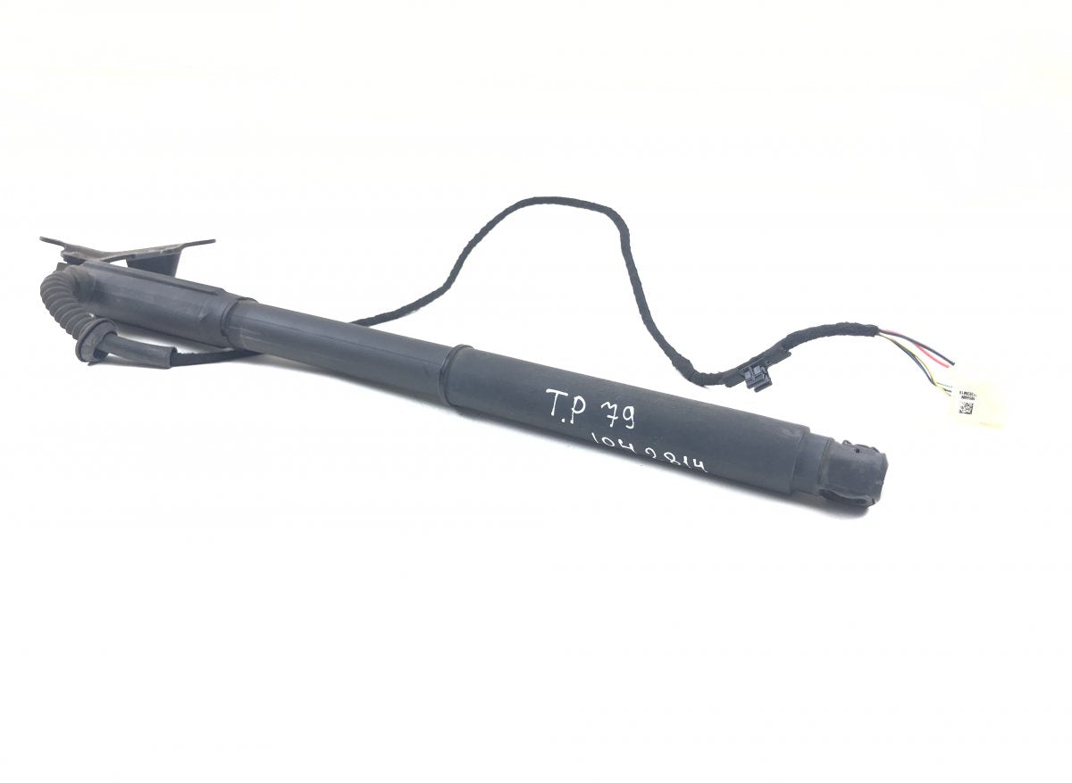 7332696 Bootlid / tailgate strut right BMW X5 (E70) (2007-2013)