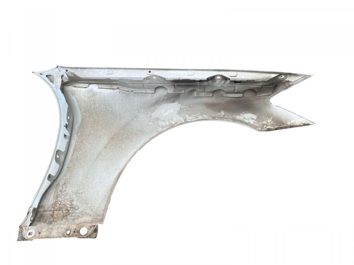 A2218800118 Fender Front Left MERCEDES-BENZ S-CLASS (W221) (2005-2013)