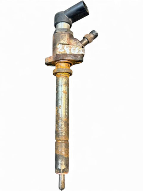 Fuel Injector CITROËN C4 Picasso I (UD, UA) (2006-2013)