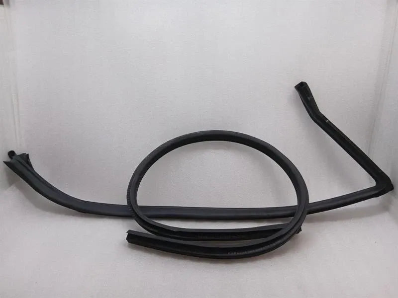 Ferrari Roma F169 door seal 783102 LH door seals left-