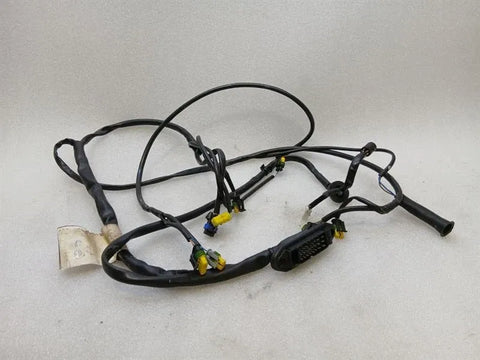 Ferrari 360 F131 Wiring Loom 201104 LH DOOR Wiring Harness Door