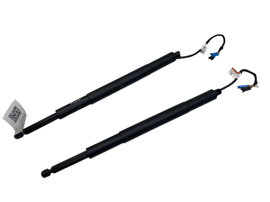 51248494106 Bootlid / tailgate strut set BMW 5 (G30, G31) (2016-2024)