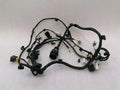 Ferrari California T F149 14-17 Wiring Loom 318625 Door LH LHD Wiring Harness