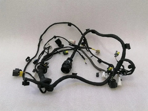 Ferrari California T F149 14-17 Wiring Loom 318625 Door LH LHD Wiring Harness