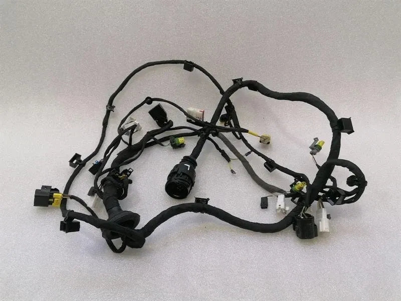 Ferrari California T F149 14-17 Wiring Loom 318625 Door LH LHD Wiring Harness