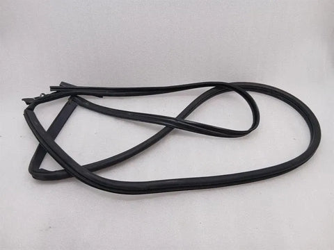Aston Martin DB9 COUPE Door Seal 4G43-F20709-AJ LEFT Door Seals