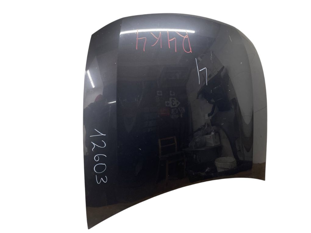 5330130450 Bonnet LEXUS GS III (2005-2011)