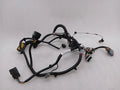 Aston Martin Vanquish AM310 Wiring Loom ED33-14631-BC DOOR LEFT Wiring Harness