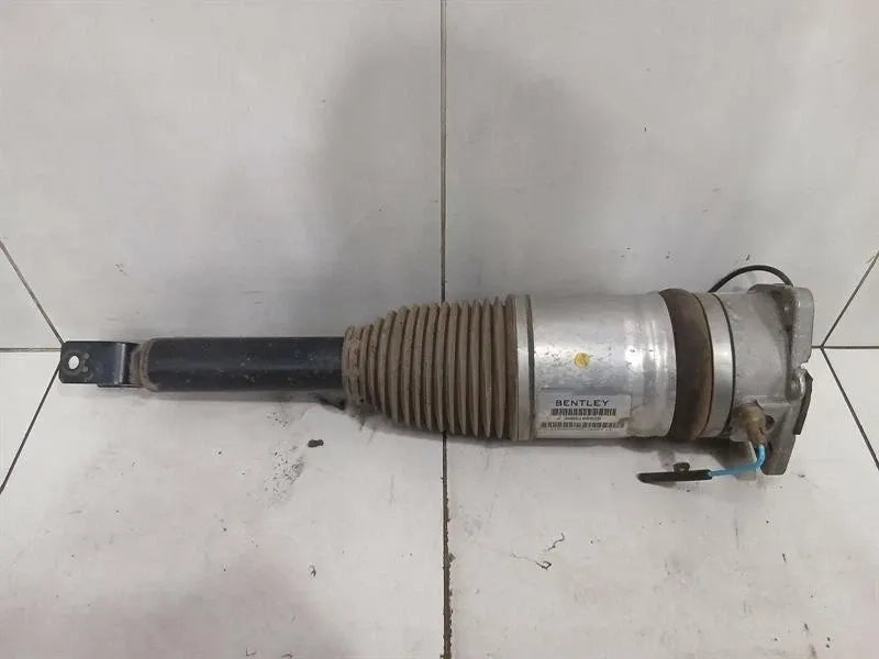 Bentley Continental GT W12 shock absorber rear 3W8616002B shock absorber rear