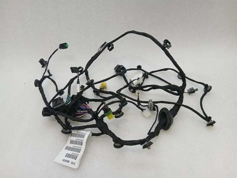 Ferrari 296 GTS F171 Wiring Loom 902025 LH DOOR LHD Door LEFT Wiring Harness
