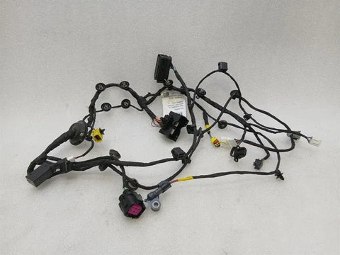 Ferrari 296 GTS F171 Wiring Loom 902031 RH DOOR Wiring Harness RIGHT DOOR