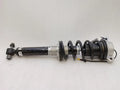 Ferrari Roma F169 shock absorber front 333683 shock absorber front
