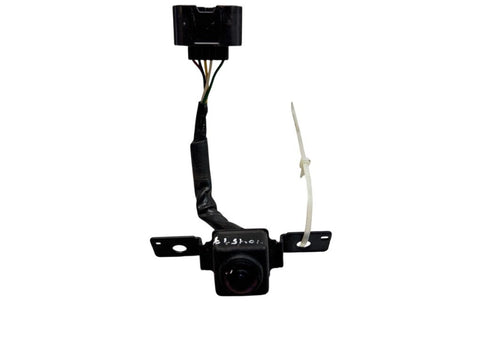 Frontkamera 284F14AM1A INFINITI M IV / Q70 (Y51) (2010-2019)