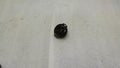 Audi RS6 4G Speaker 4G0035399 Loudspeaker Tweeter Bose
