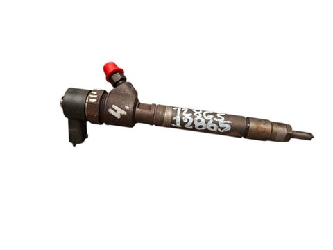 Fuel Injector VOLVO S80 II (AS) (2006-2016)