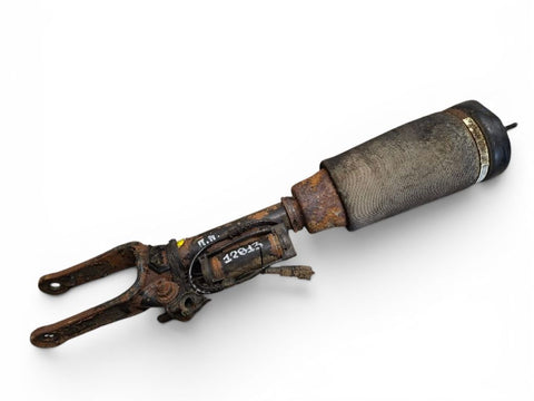 A2513203013 Air shock absorber front right MERCEDES-BENZ R-CLASS (W251) (2006-2013)