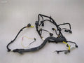McLaren 650S Spider 14-17 Wiring Loom 11M2906CP RH DOOR Wiring Harness
